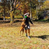 a man and a dog playing frisbee in a park