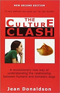 the cover of the book, culture clash