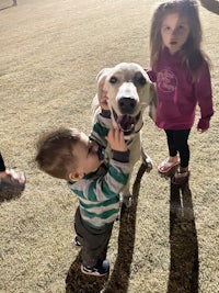 two children are playing with a dog in the grass