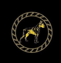 a golden dog in a circle on a black background