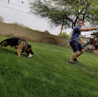 a man and a german shepherd playing with a rope