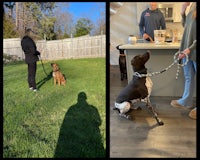 two pictures of a woman and a dog on a leash