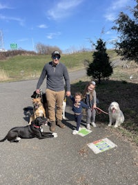 a group of people standing on a road with their dogs