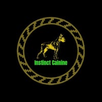 the logo for instinct galine on a black background