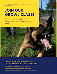 a flyer for a dog growl class