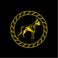 a golden dog in a circle on a black background