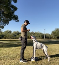 a man standing next to a white dog in a park