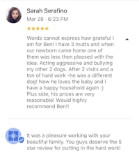 sarah safrino's review on facebook