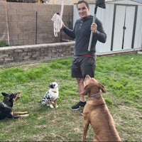 a man holding a broom and two dogs in a yard