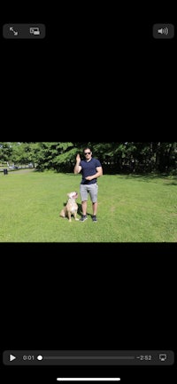 a man is standing in a field with a dog